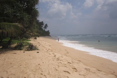 White Surfing Beach Resort, Шри-Ланка, Талпе