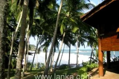 Palm Paradise Cabanas, Шри-Ланка, Галле