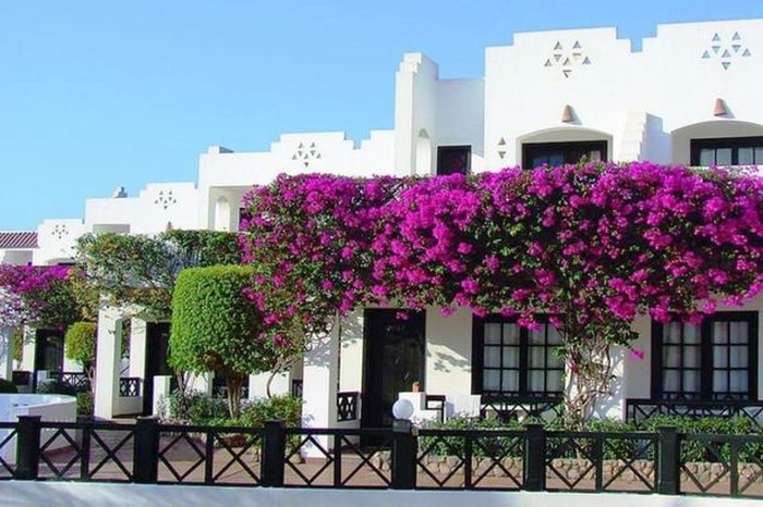 Фотография отеляVerginia Sharm, № 33