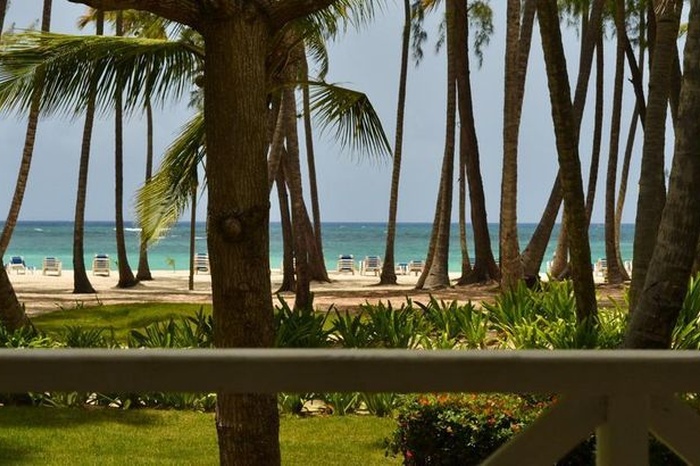 Фотография отеляVista Sol Punta Cana Beach Resort & Spa, № 4